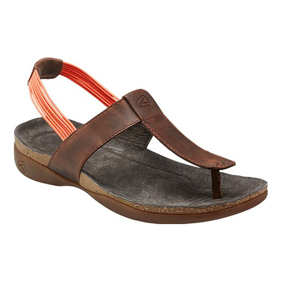 DAUNTLESS POSTED TORTOISE SHELL