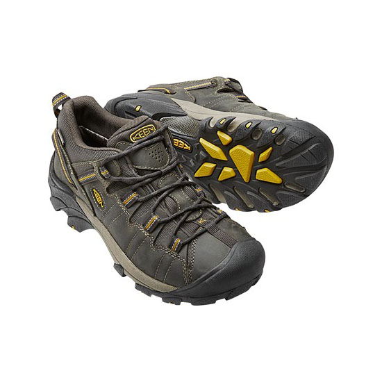 TARGHEE II RAVEN