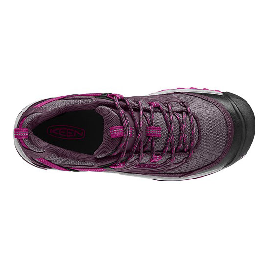 SALTZMAN WP PLUM