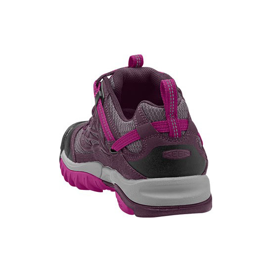 SALTZMAN WP PLUM