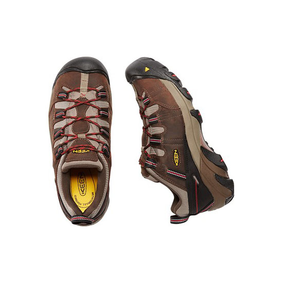 DETROIT LOW INTERNAL MET BROWN