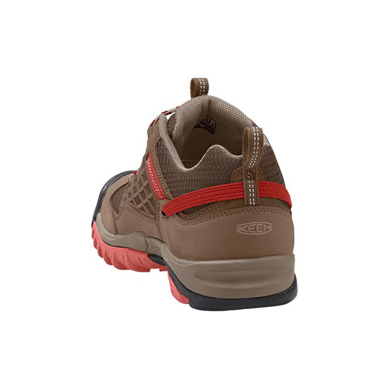SALTZMAN DARK EARTH