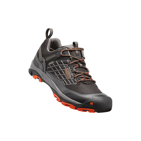 SALTZMAN WP RAVEN