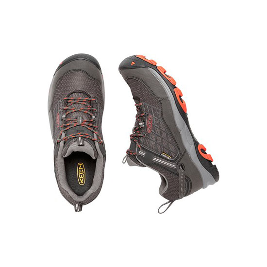 SALTZMAN WP RAVEN